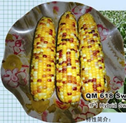 ��ɫ��618��Ŵ���ף�һ�����䣩--�����N��