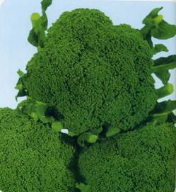 �������m��--���m���N��