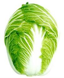 ����8̖(h��o)�����ײ˷N��