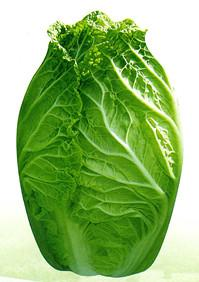 ����27--�ײ˷N��