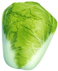 ���ȴ���3�����ײ˷N��