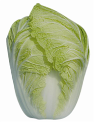 ���ȴ���13̖(h��o)�����ײ˷N��