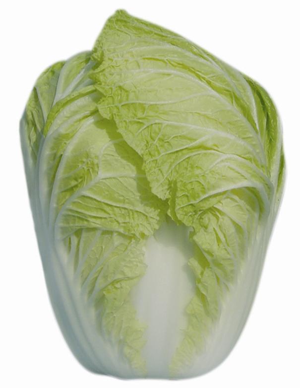 ���ȴ���13̖--�ײ˷N��